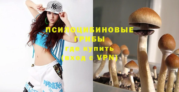 MDMA Premium VHQ Дмитровск