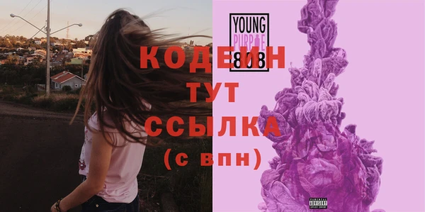 дурь Инта